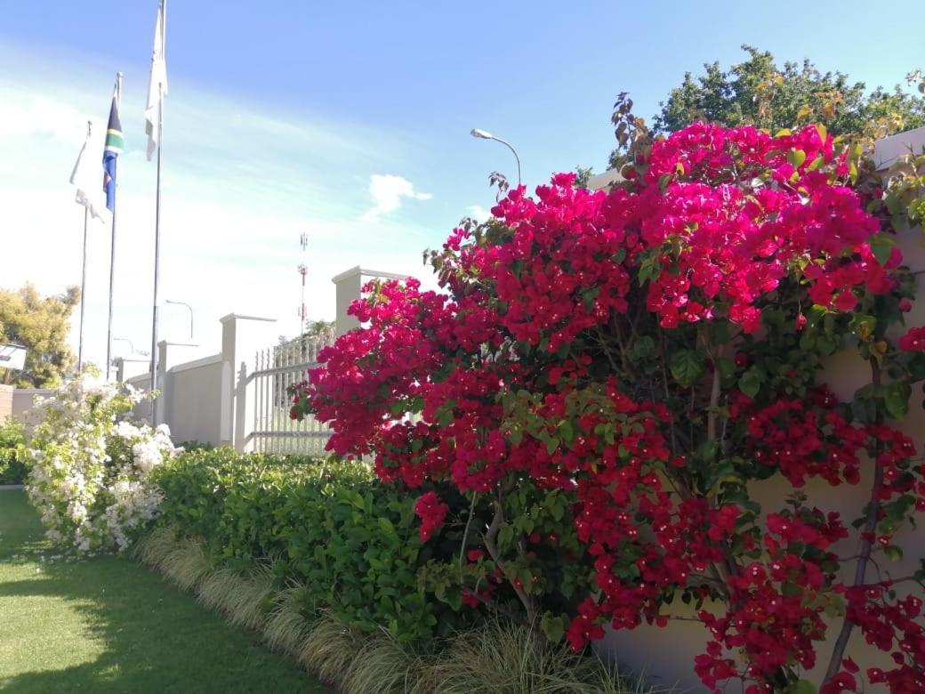 Monte Rosa Guesthouse Rawsonville Εξωτερικό φωτογραφία