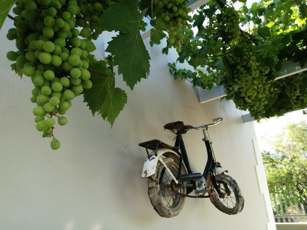 Monte Rosa Guesthouse Rawsonville Εξωτερικό φωτογραφία