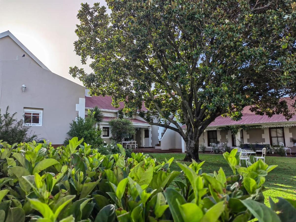Monte Rosa Guesthouse Rawsonville Εξωτερικό φωτογραφία